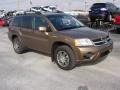 2008 Canyon Beige Pearl Mitsubishi Endeavor SE  photo #1