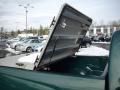 2007 Woodland Green Chevrolet Colorado Work Truck Extended Cab  photo #8