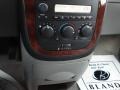 2007 Polar Blue Metallic Chevrolet Uplander LS  photo #22