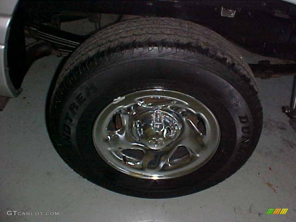 2001 Ram 1500 Regular Cab - Bright Silver Metallic / Agate photo #5
