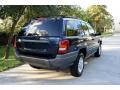 2003 Patriot Blue Pearl Jeep Grand Cherokee Laredo 4x4  photo #9