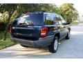 Patriot Blue Pearl - Grand Cherokee Laredo 4x4 Photo No. 9