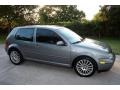 Silverstone Grey - GTI 1.8T Photo No. 9