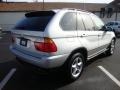 2002 Titanium Silver Metallic BMW X5 3.0i  photo #7