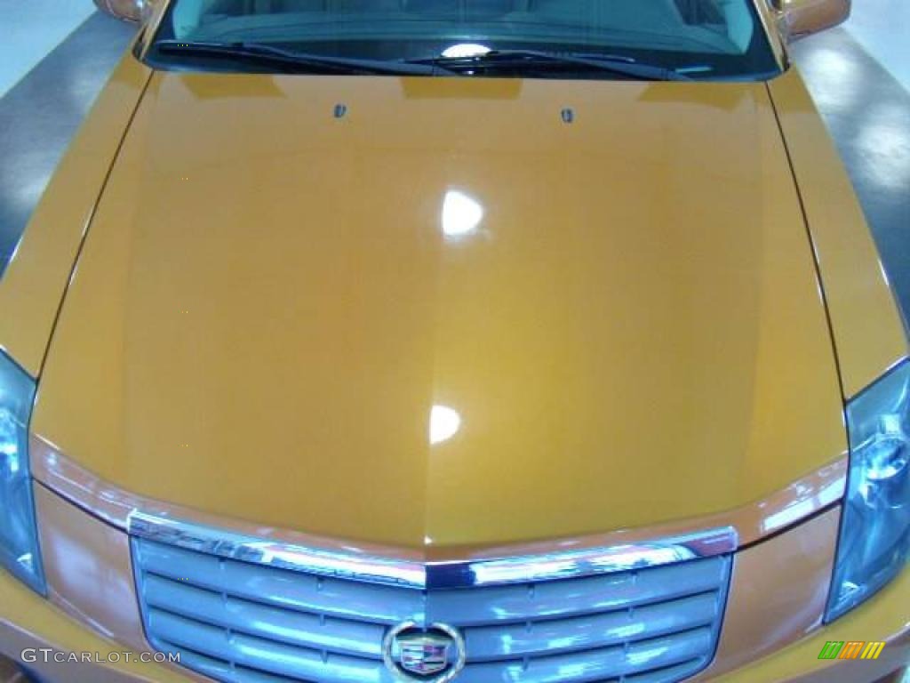 2003 CTS Sedan - Copper Sunburst / Light Neutral photo #10