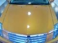 2003 Copper Sunburst Cadillac CTS Sedan  photo #10