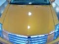 Copper Sunburst - CTS Sedan Photo No. 10
