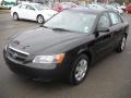 Ebony Black - Sonata GLS Photo No. 14