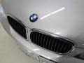 2008 Titanium Silver Metallic BMW 7 Series 750Li Sedan  photo #13
