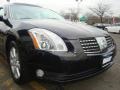 Onyx Black - Maxima 3.5 SL Photo No. 23