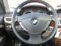 2008 Titanium Grey Metallic BMW 7 Series 750Li Sedan  photo #16