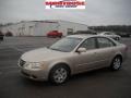 Camel Pearl - Sonata GLS Photo No. 17