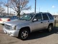 Silverstone Metallic - TrailBlazer LS 4x4 Photo No. 3