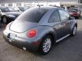 2004 Platinum Grey Metallic Volkswagen New Beetle GLS Coupe  photo #4
