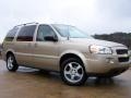 2006 Amber Bronze Metallic Chevrolet Uplander LT  photo #41