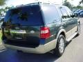 2009 Stone Green Metallic Ford Expedition King Ranch  photo #3