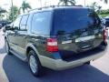 2009 Stone Green Metallic Ford Expedition King Ranch  photo #6