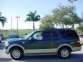 2009 Stone Green Metallic Ford Expedition King Ranch  photo #7
