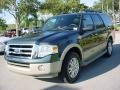 2009 Stone Green Metallic Ford Expedition King Ranch  photo #8