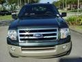 2009 Stone Green Metallic Ford Expedition King Ranch  photo #9