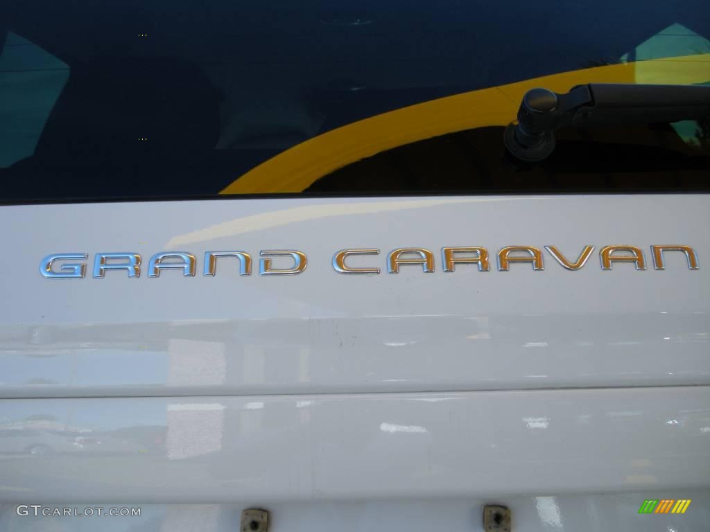 2002 Grand Caravan eX - Stone White / Taupe photo #9