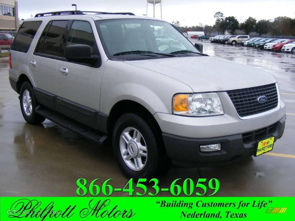 2006 Expedition XLT - Silver Birch Metallic / Medium Flint Grey photo #1