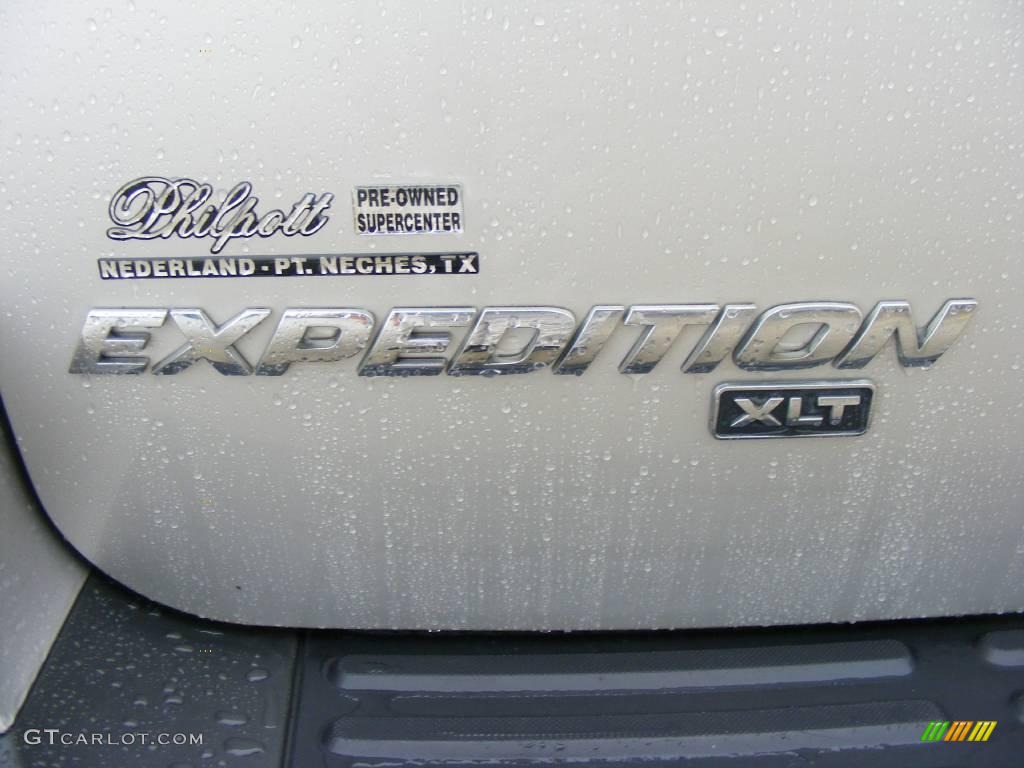 2006 Expedition XLT - Silver Birch Metallic / Medium Flint Grey photo #22