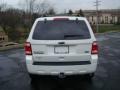 2010 White Suede Ford Escape XLT V6 4WD  photo #4