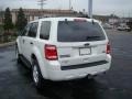 2010 White Suede Ford Escape XLT V6 4WD  photo #5