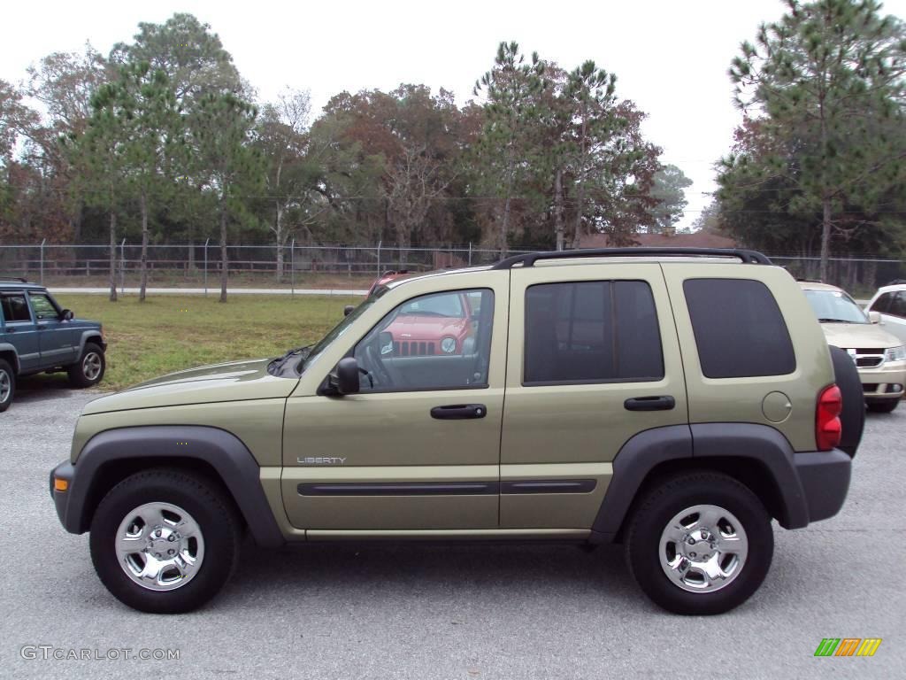 2004 Liberty Sport - Cactus Green Pearl / Taupe photo #2