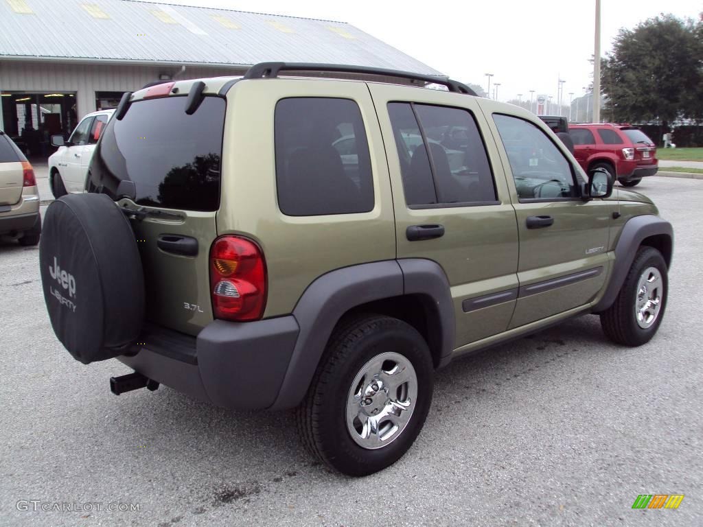 2004 Liberty Sport - Cactus Green Pearl / Taupe photo #8