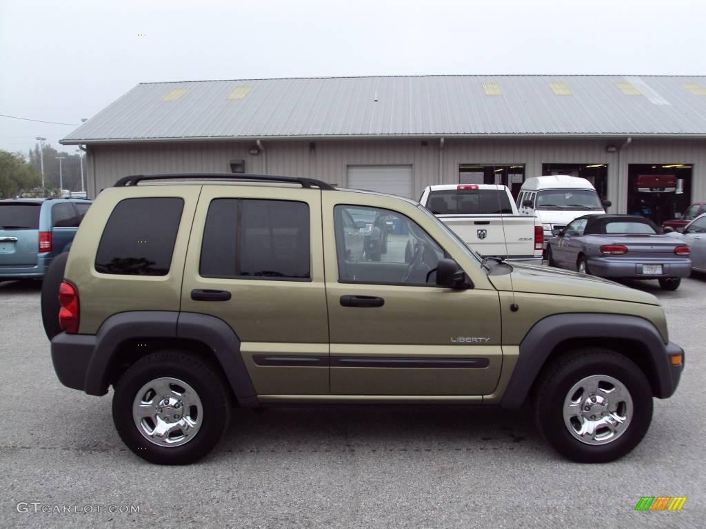 2004 Liberty Sport - Cactus Green Pearl / Taupe photo #9