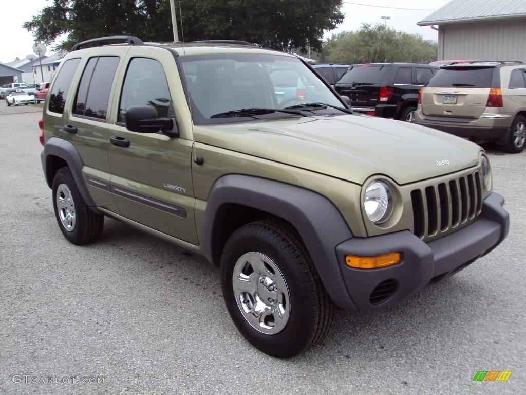 2004 Liberty Sport - Cactus Green Pearl / Taupe photo #10