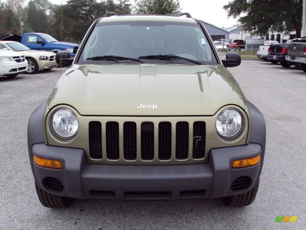 2004 Liberty Sport - Cactus Green Pearl / Taupe photo #13