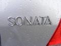 2004 Brilliant Silver Hyundai Sonata   photo #24