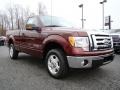 2010 Royal Red Metallic Ford F150 XLT Regular Cab  photo #1