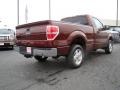 2010 Royal Red Metallic Ford F150 XLT Regular Cab  photo #3