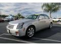Light Platinum - CTS Sedan Photo No. 6