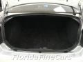 Bright Silver Metallic - Charger  Photo No. 10