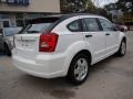 Stone White - Caliber SXT Photo No. 8