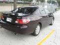 Black Garnet Pearl - ES 300 Photo No. 3