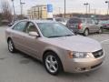 Golden Beige - Sonata GLS V6 Photo No. 7