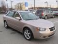 2006 Golden Beige Hyundai Sonata GLS V6  photo #7