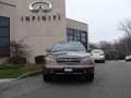 Beryllium 16 Metallic - FX 35 AWD Photo No. 2