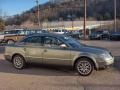 Fresco Green Metallic - Passat W8 4Motion Sedan Photo No. 7