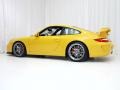 2010 Speed Yellow Porsche 911 GT3  photo #8