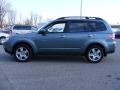 2009 Sage Green Metallic Subaru Forester 2.5 X L.L.Bean Edition  photo #2