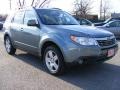 2009 Sage Green Metallic Subaru Forester 2.5 X L.L.Bean Edition  photo #7