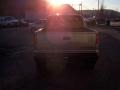 2002 Light Pewter Metallic Chevrolet S10 LS Extended Cab 4x4  photo #5