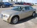 2010 White Gold Pearlcoat Chrysler 300 Touring Walter P. Chryler Executive Series  photo #1